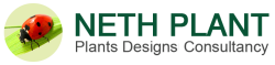 neth-plant-logo